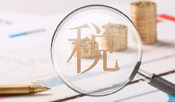 電子稅務(wù)局1月新增重點(diǎn)功能！速看！