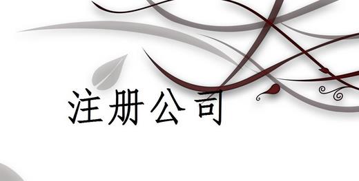 注冊公司為什么推薦找代理注冊公司的機構(gòu)呢？