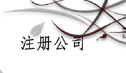 注冊(cè)公司為什么推薦找代理注冊(cè)公司的機(jī)構(gòu)呢？