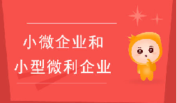 小微企業(yè)和小型微利企業(yè)有什么區(qū)別？
