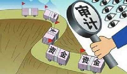 公司審計(jì)是什么,一般有哪幾種？