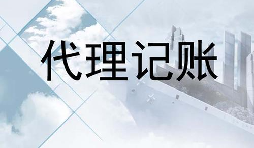 深圳的代賬公司的會計是不是專業(yè)的？